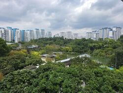 Blk 174 Lompang Road (Bukit Panjang), HDB 4 Rooms #539289921